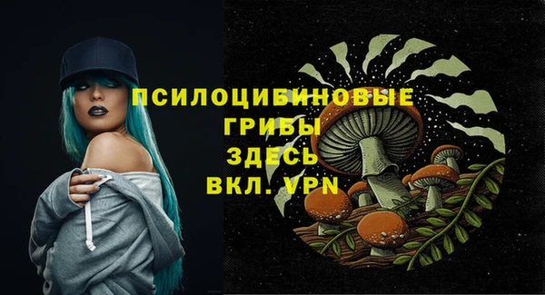 герыч Фурманов