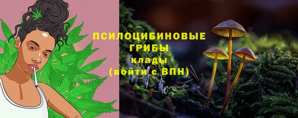гашиш Каменка